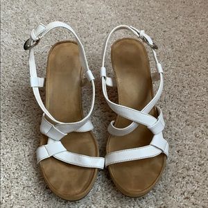 Serology white wedges